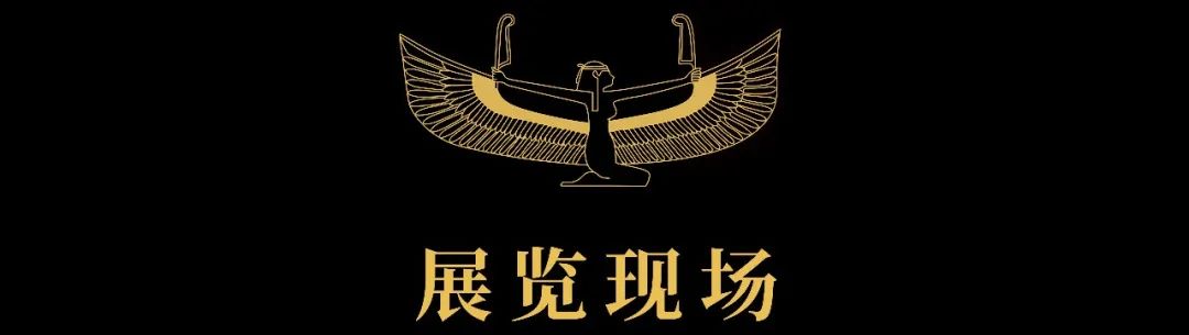 “永恒的面孔——古埃及的黄金木乃伊”展览在深圳市南山博物馆正式展出