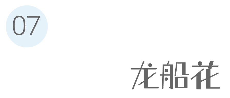 9月花历 | 愿美好如期而至，你好，九月！