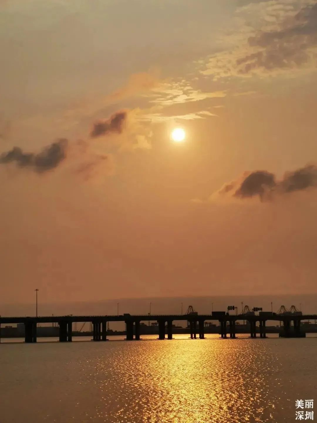 撞入夏日的海风，在深圳观海公园、绿道觅清凉