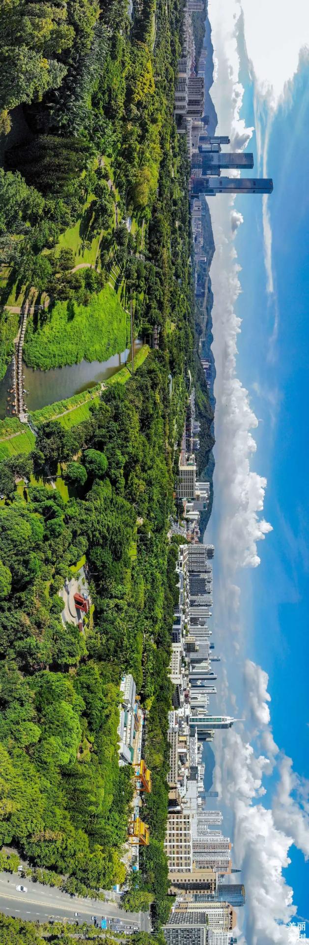 花漾之旅 | 深圳这片粉色梯田花海，藏在市中心的小森林里