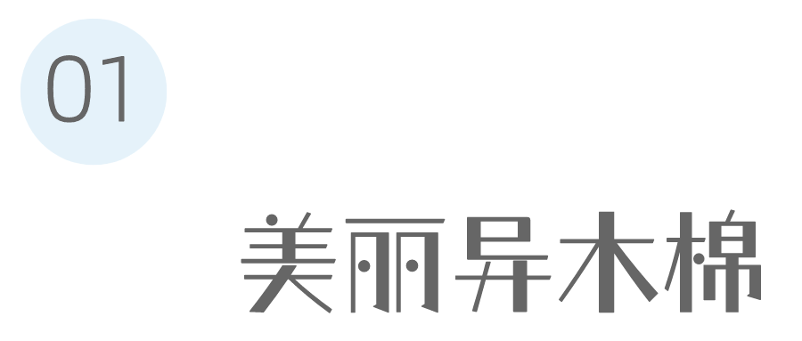 9月花历 | 愿美好如期而至，你好，九月！