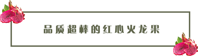 【宝安石岩·亲子】30亩大农场！19.9元抢108元田田农庄2大2小家庭采摘套票：火龙果采摘+抓泥鳅+火龙果凉粉1份+赠送火龙果1斤+泥鳅1条！亲子活动首选