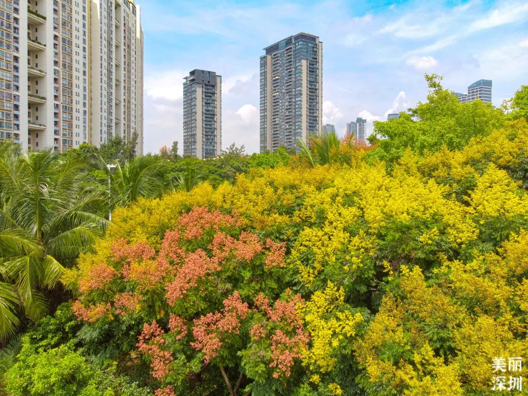 9月花历 | 愿美好如期而至，你好，九月！