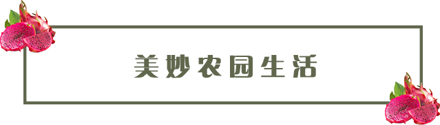 【宝安石岩·亲子】30亩大农场！19.9元抢108元田田农庄2大2小家庭采摘套票：火龙果采摘+抓泥鳅+火龙果凉粉1份+赠送火龙果1斤+泥鳅1条！亲子活动首选