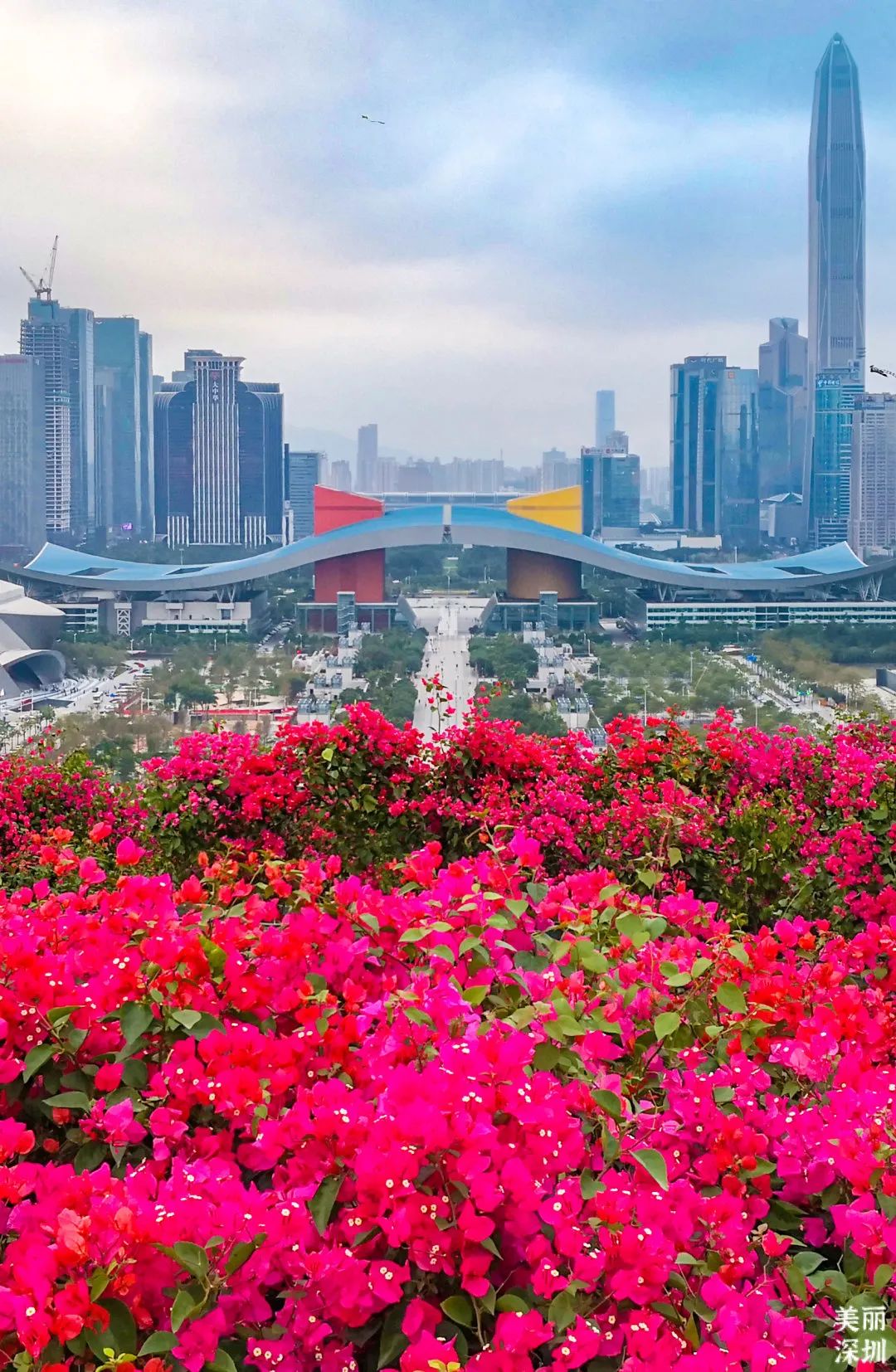 10月花历 | 金秋十月，各色秋花争奇斗艳