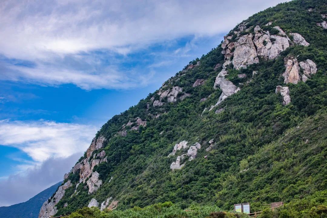 深圳精品绿道 | 新东绿道：当陡峭的悬崖遇上激流的海浪，山海之乐在此别样碰撞