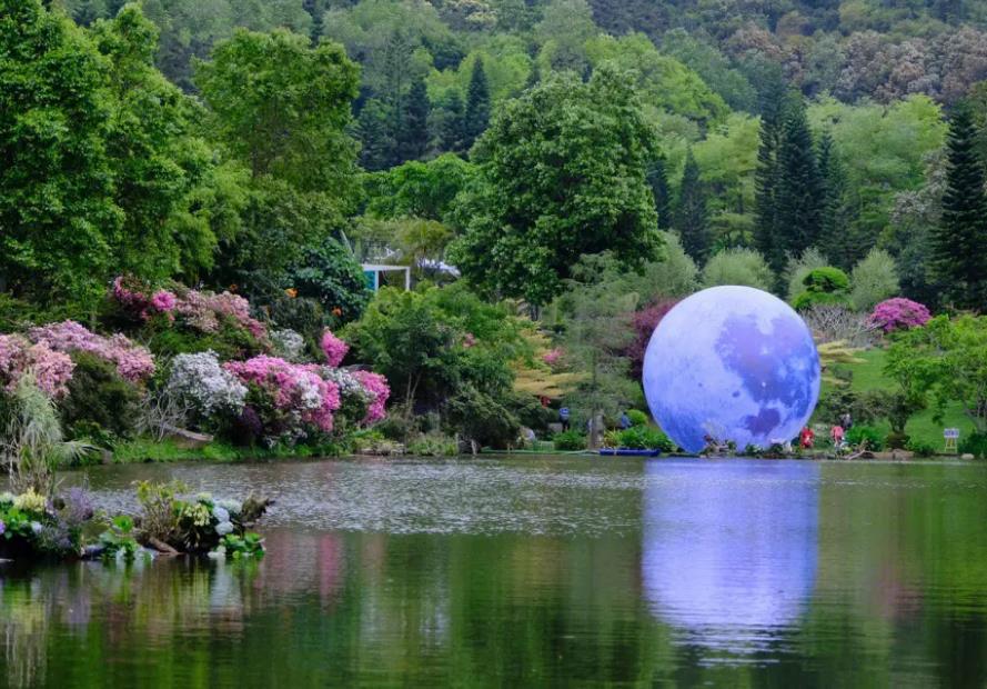 仙湖植物园