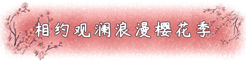 【龙华·门票】早鸟票预售！9.9元抢60元深圳观澜山水田园樱花节，春节邀你来赏樱