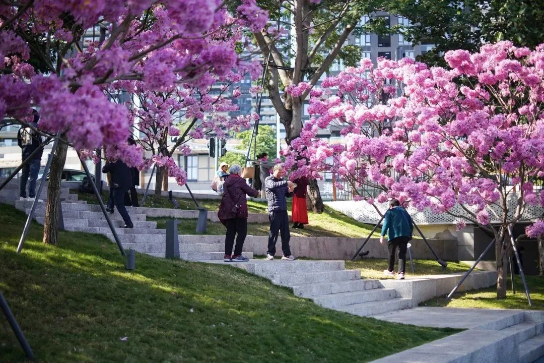 走！周末去这个儿童友好公园赏超美花海