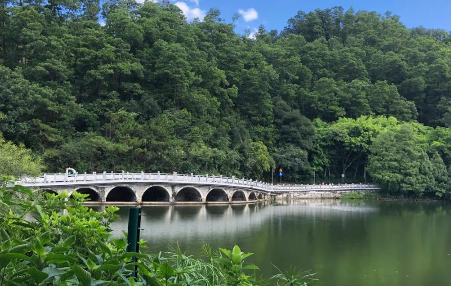 仙湖植物园 