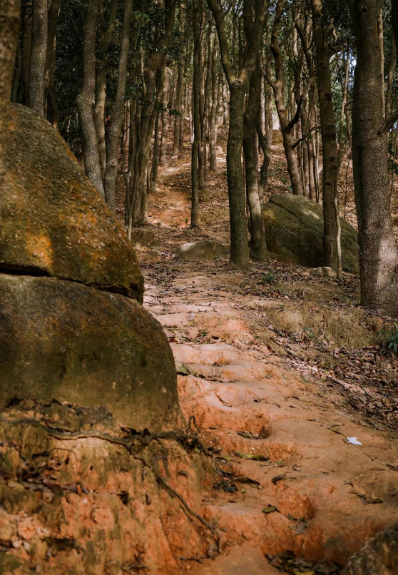 深圳极少人知道的“原始登山道”，太太太好爬了...