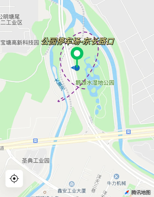 深圳鹅颈水湿地公园花都开好了，好美