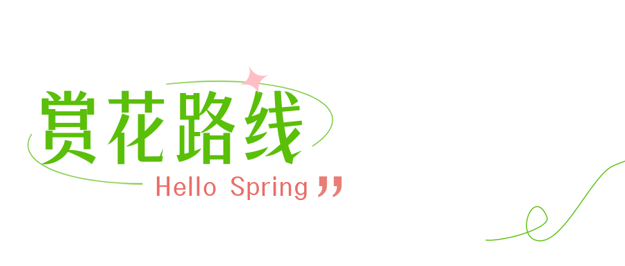 春天的邀约 | 第八届梧桐山毛棉杜鹃节将于3月17日开幕