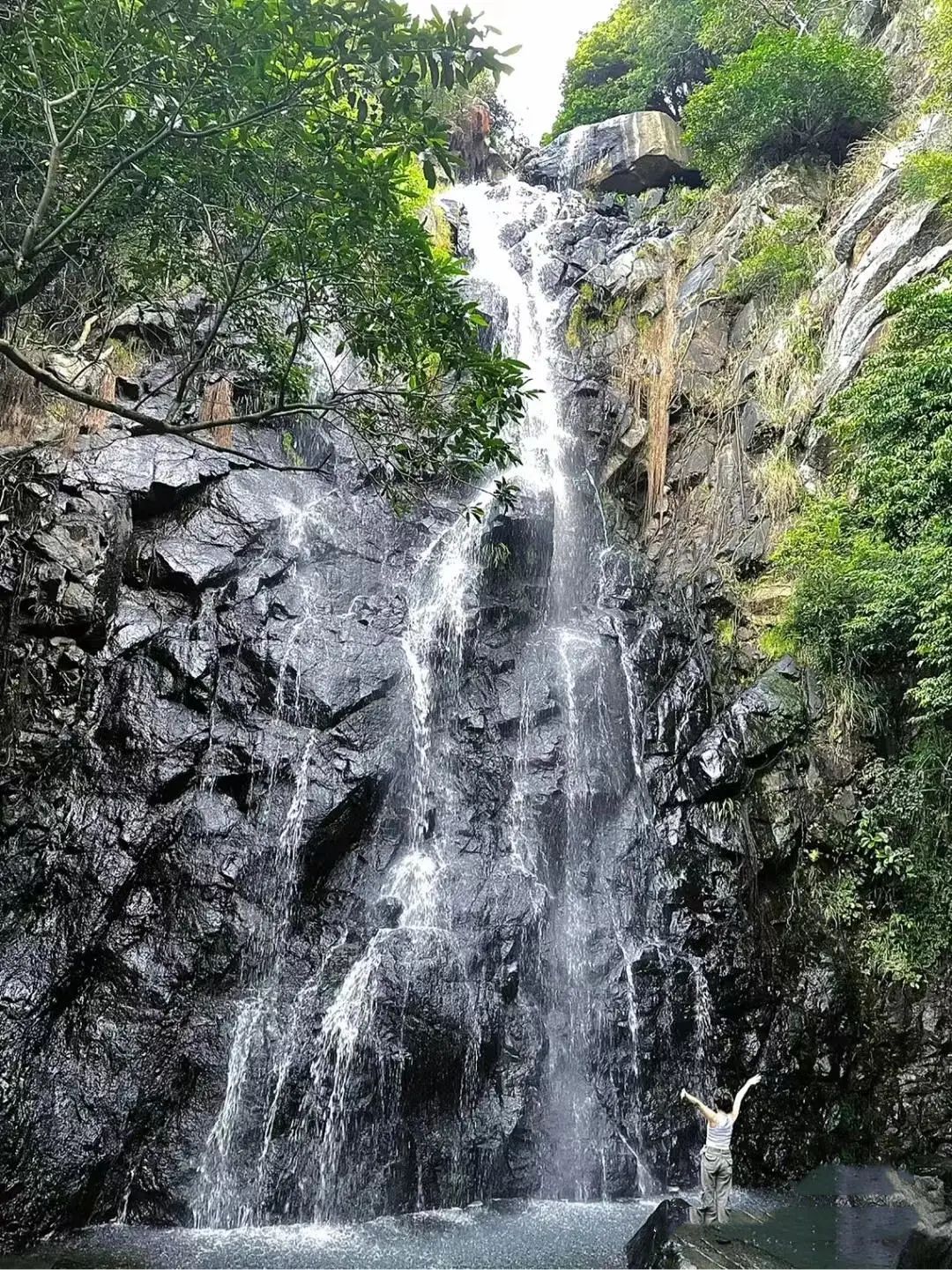 【网文】春日漫步坪山，遇见“坪”式浪漫