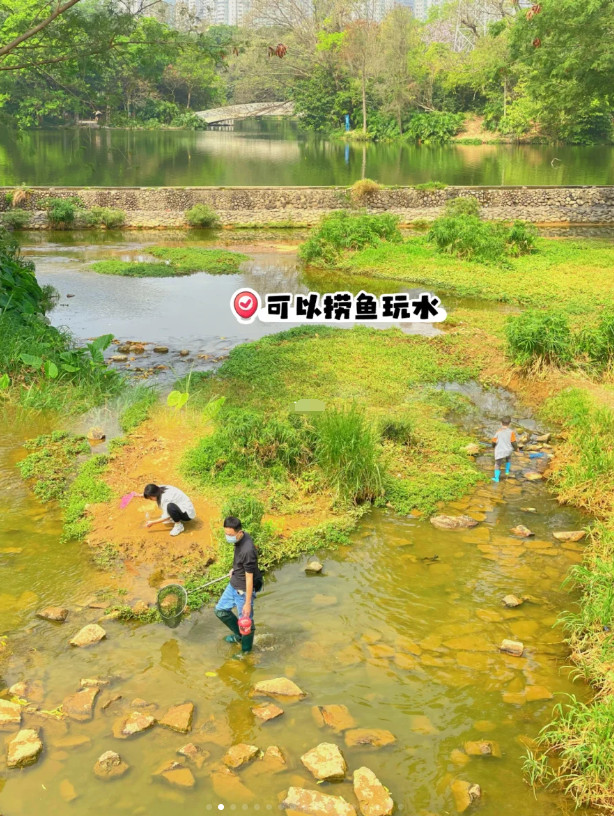 深圳市区｜露营｜玩水捞鱼｜骑行｜免费宝藏公园