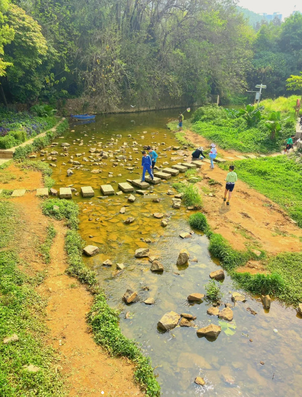 深圳市区｜露营｜玩水捞鱼｜骑行｜免费宝藏公园