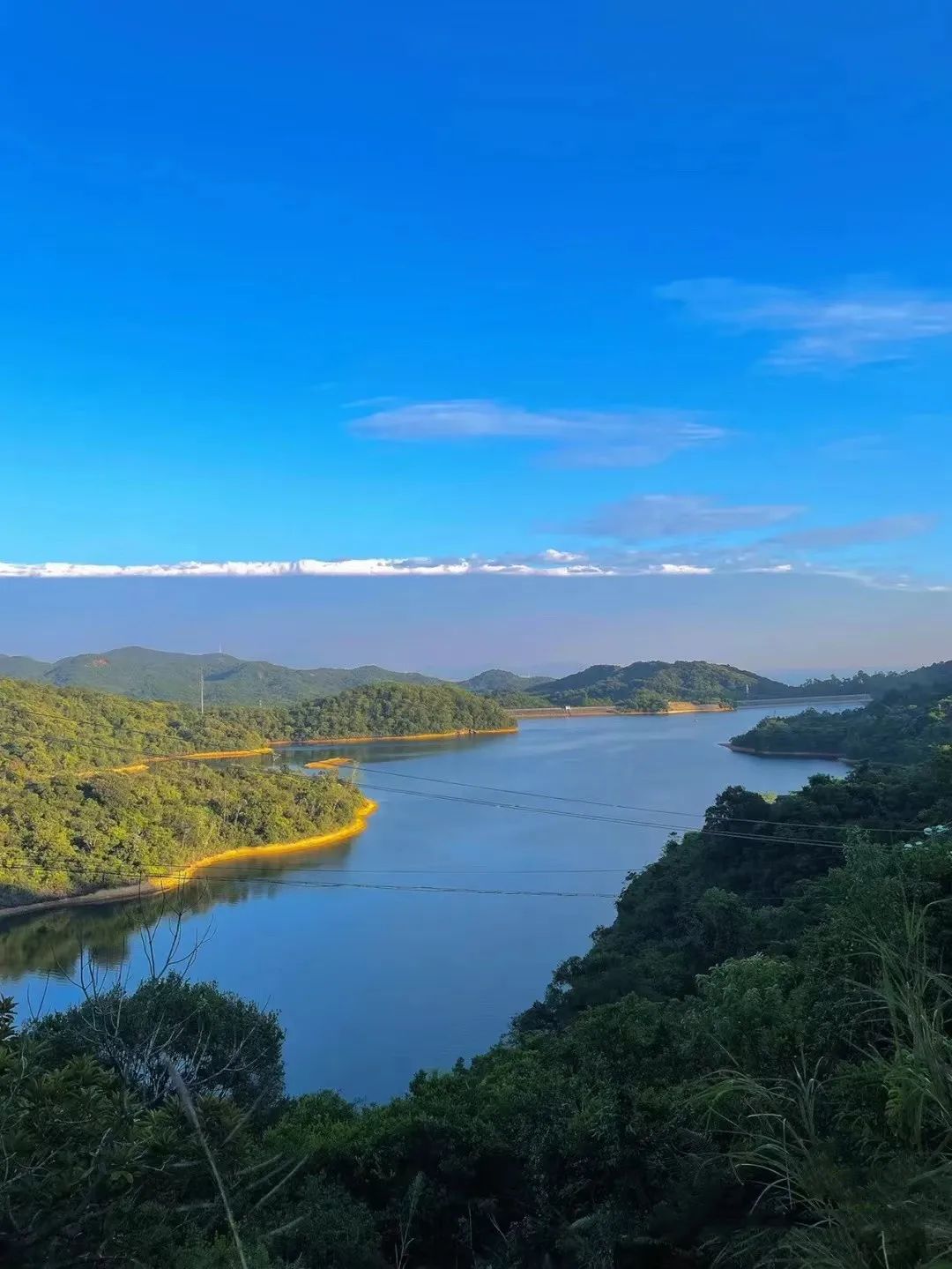 【网文】春日漫步坪山，遇见“坪”式浪漫