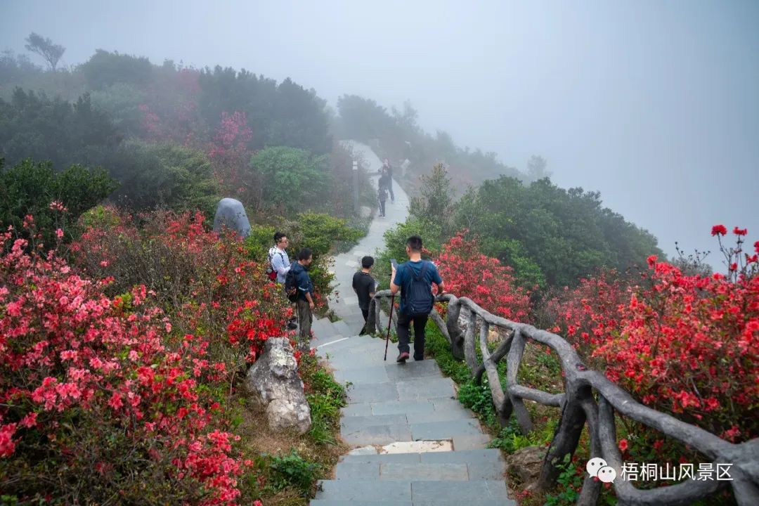 梧桐山风景区主入口正式开通！地铁直达！