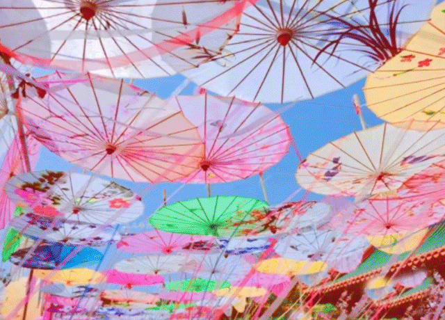 4月震撼来袭｜2023青青世界天空之伞暨粉色沙滩风车节，邀你来打卡！