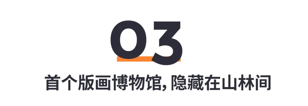 再不去就晚了！龙华「百亩荷花」限时开放