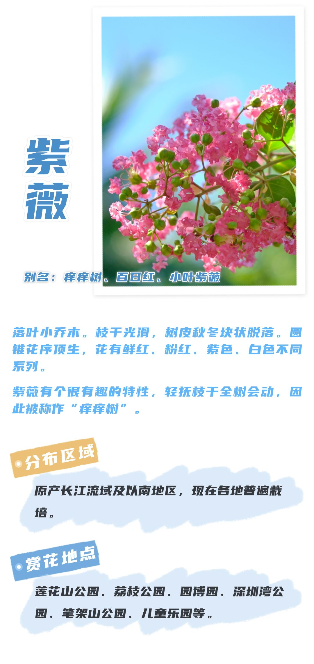 8月花历 | Parkwalk：用脚步感受深圳公园里的鸟语花香