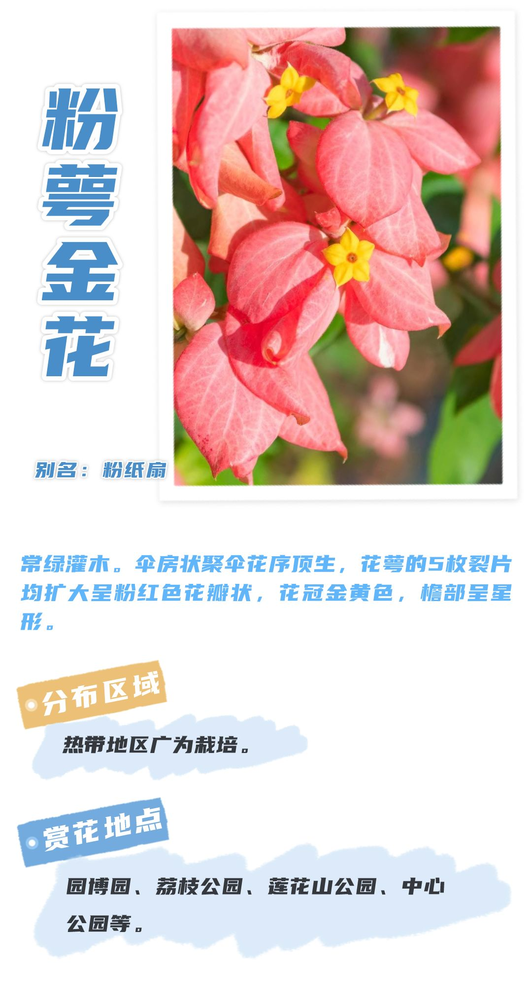 8月花历 | Parkwalk：用脚步感受深圳公园里的鸟语花香