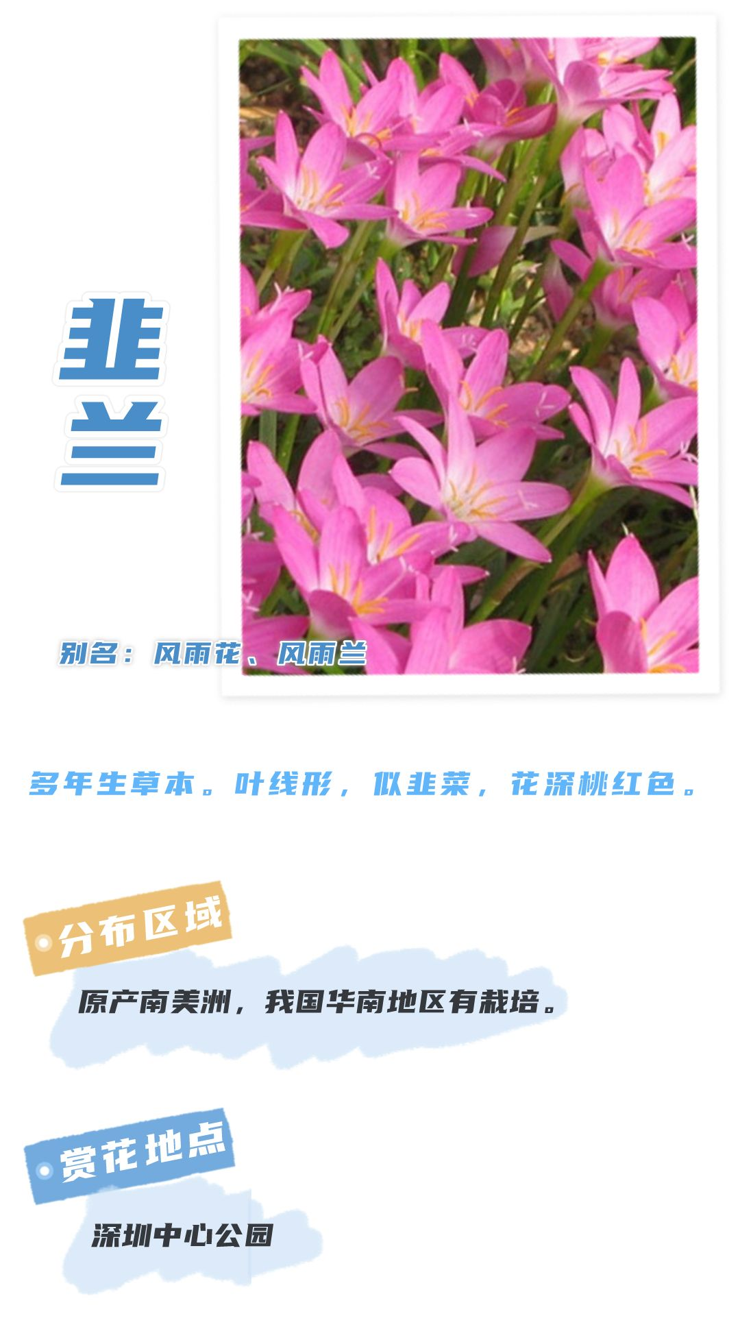 8月花历 | Parkwalk：用脚步感受深圳公园里的鸟语花香