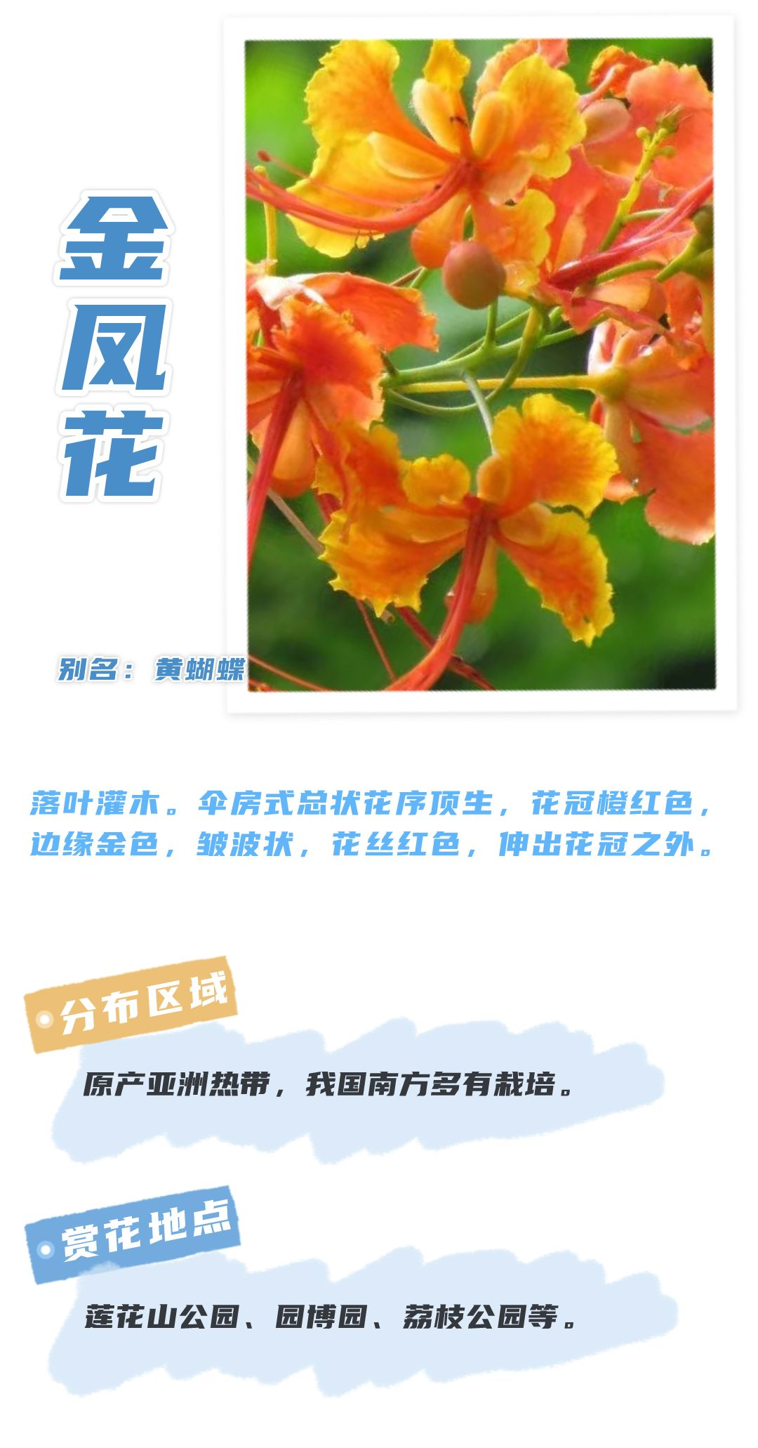 8月花历 | Parkwalk：用脚步感受深圳公园里的鸟语花香