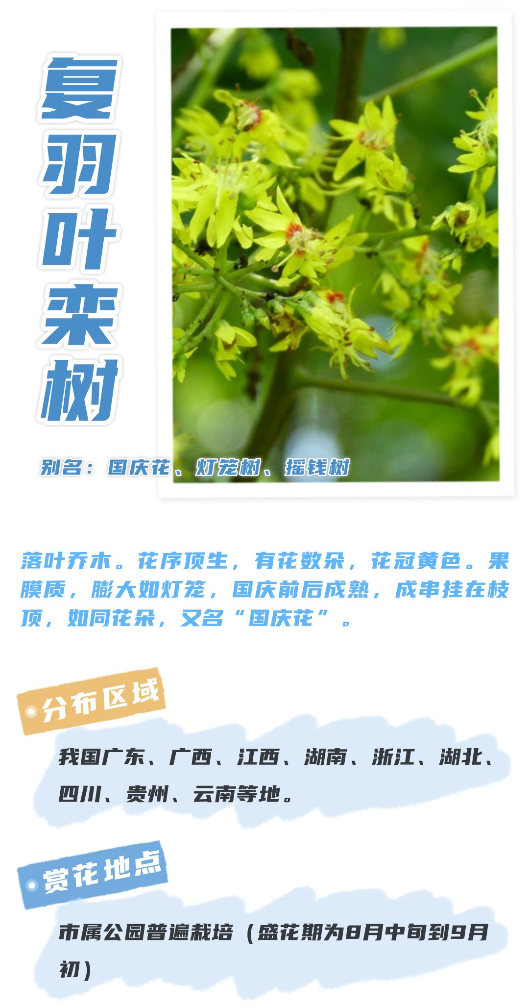 8月花历 | Parkwalk：用脚步感受深圳公园里的鸟语花香