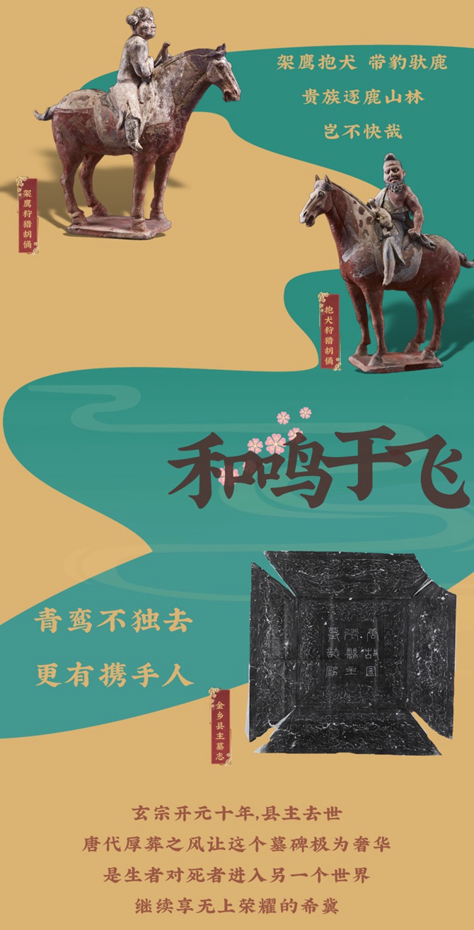 【南山博物馆】花月醉雕鞍——大唐金乡县主展