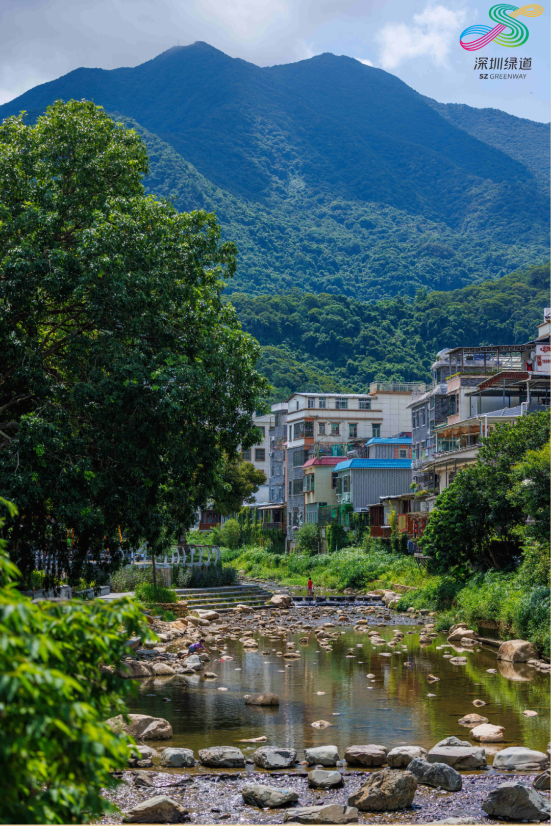 深i绿道 | 来一场亲子Citywalk，换一种方式爱上深圳～