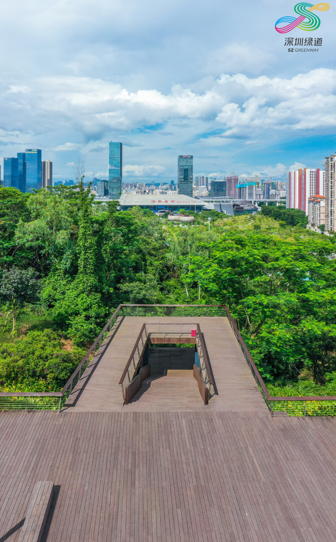 深i绿道 | 来一场亲子Citywalk，换一种方式爱上深圳～