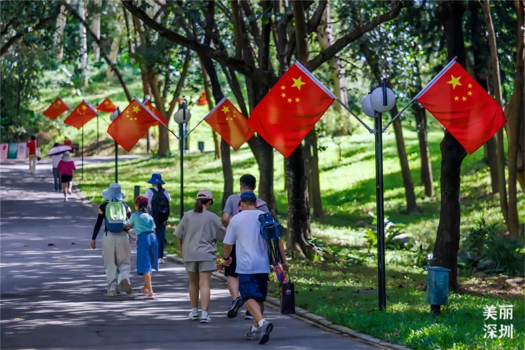 国旗飘扬，灯光表演，美丽深圳邀您留下来共度双节！