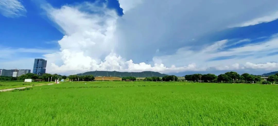 深圳免费景点国庆游玩攻略|大地丰收节日夜嗨不停！！！