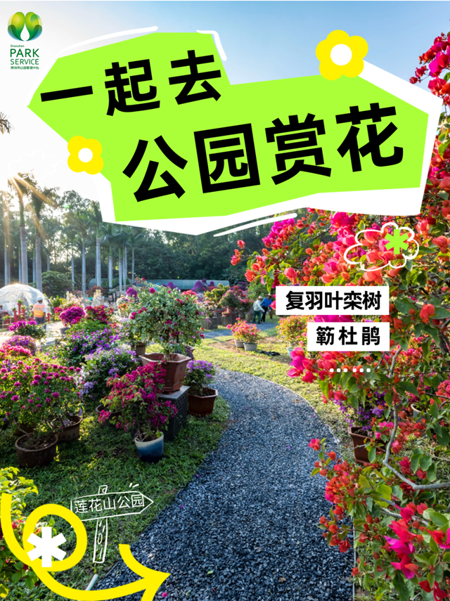 【深圳10月花历】 鹏城花开正艳，秋日赏花正当时