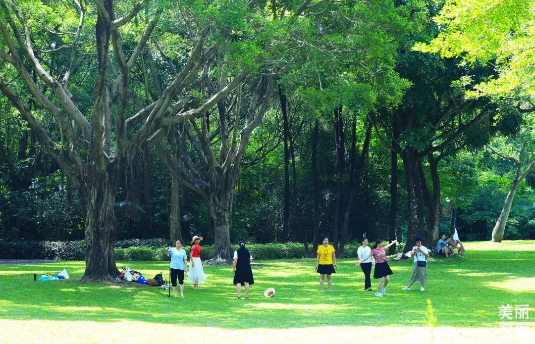 重阳节登高，这里风景独好！内附详细攻略→