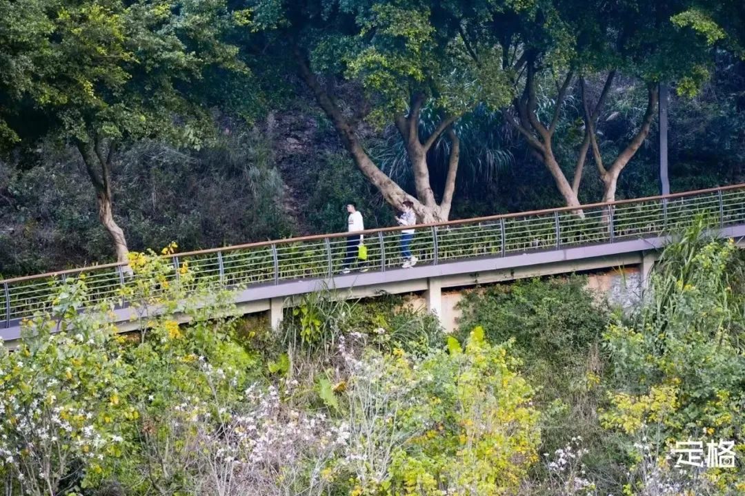 重阳节登高，这里风景独好！内附详细攻略→