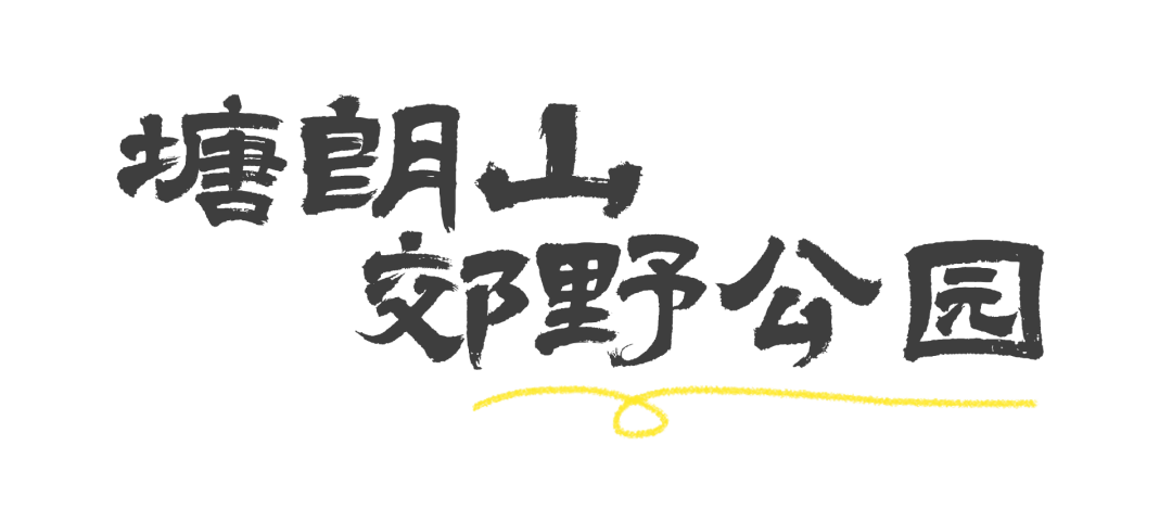 重阳节登高，这里风景独好！内附详细攻略→