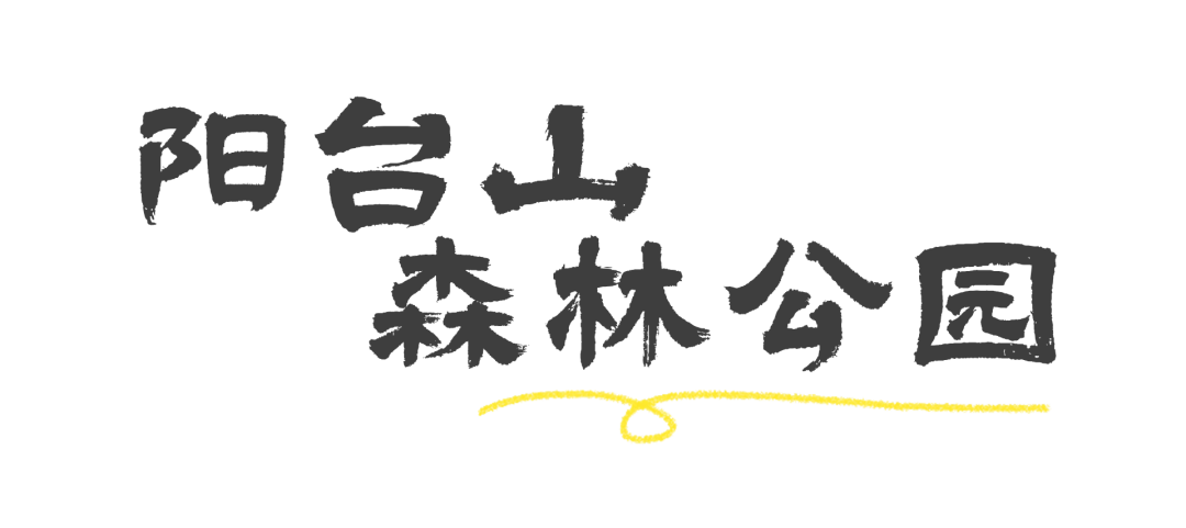 重阳节登高，这里风景独好！内附详细攻略→