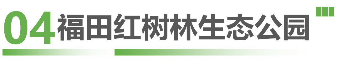 这些候鸟精灵抵深了，观鸟指南奉上！