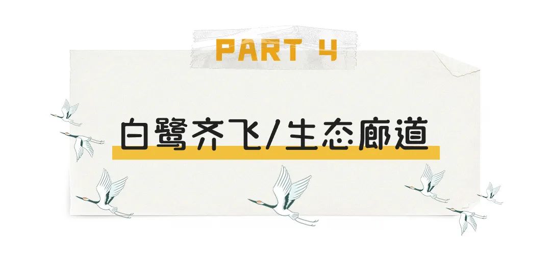 绿道欢乐跑 | 与秋色撞个满怀，这些“宝藏”绿道，约吗？