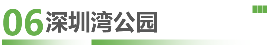 这些候鸟精灵抵深了，观鸟指南奉上！