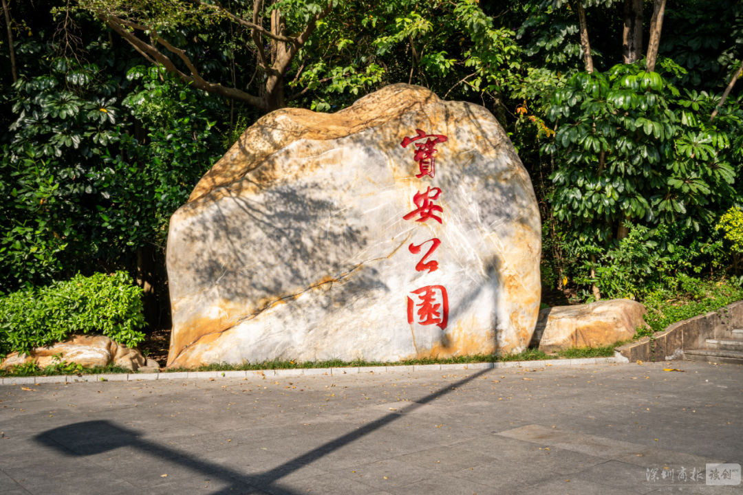 密林、绿野、日落、古墟……宝安这些步道美哭了！