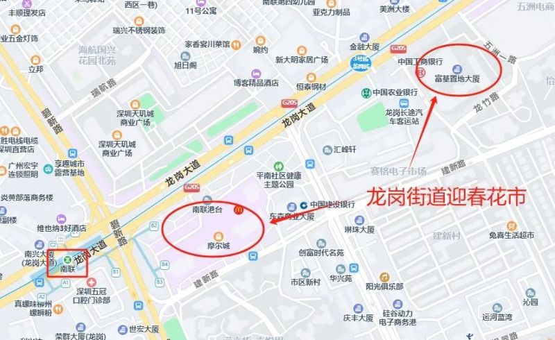 2024年龙岗区迎春花市汇总（时间 地点）