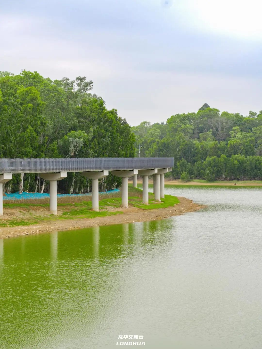 深圳首条「环湖生态马拉松赛道」开放，这周末就去!