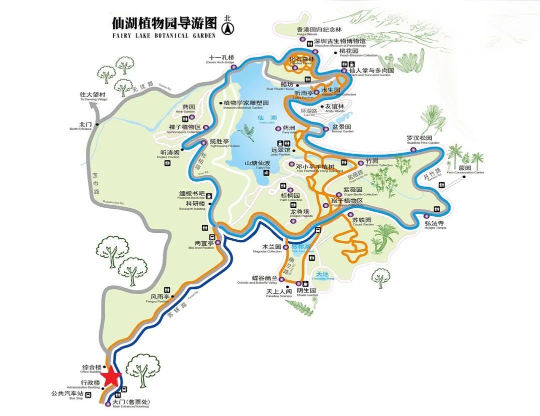 “植物总动园”全国科普活动 | 颜值拉满的秋海棠，有什么美丽秘诀？