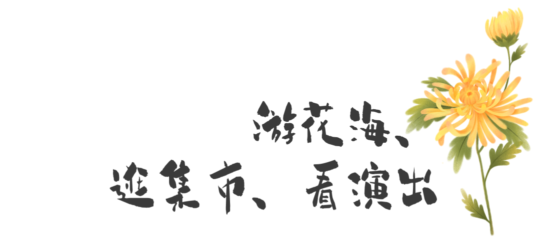 秋季的约定，“2024深圳仙湖植物园秋花集”来了，去逛花花花花花海吧！