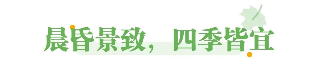 深圳只有1%人知道的海边公园