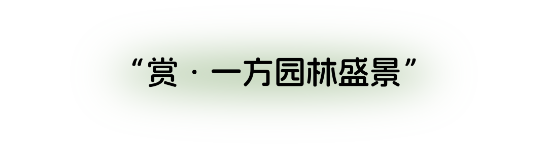 免费人少！新开放的100000㎡吸氧圣地！