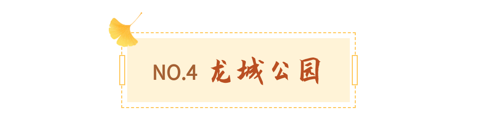 落羽杉红啦！12月限定“美拉德”等您来赏~